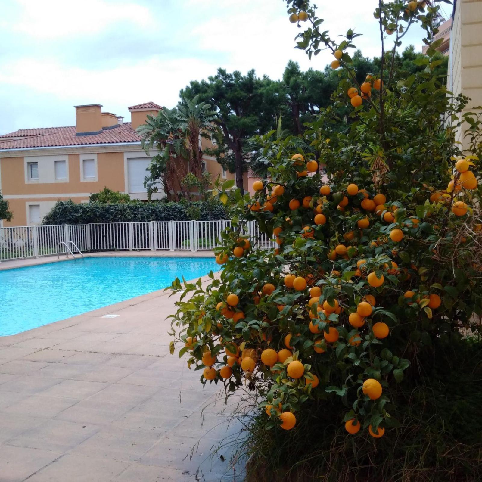 Direct Monaco Studio Devant Piscine Beausoleil Ngoại thất bức ảnh
