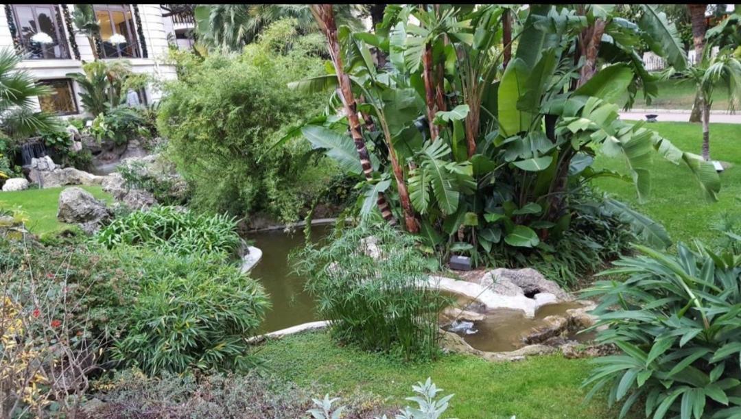 Direct Monaco Studio Devant Piscine Beausoleil Phòng bức ảnh