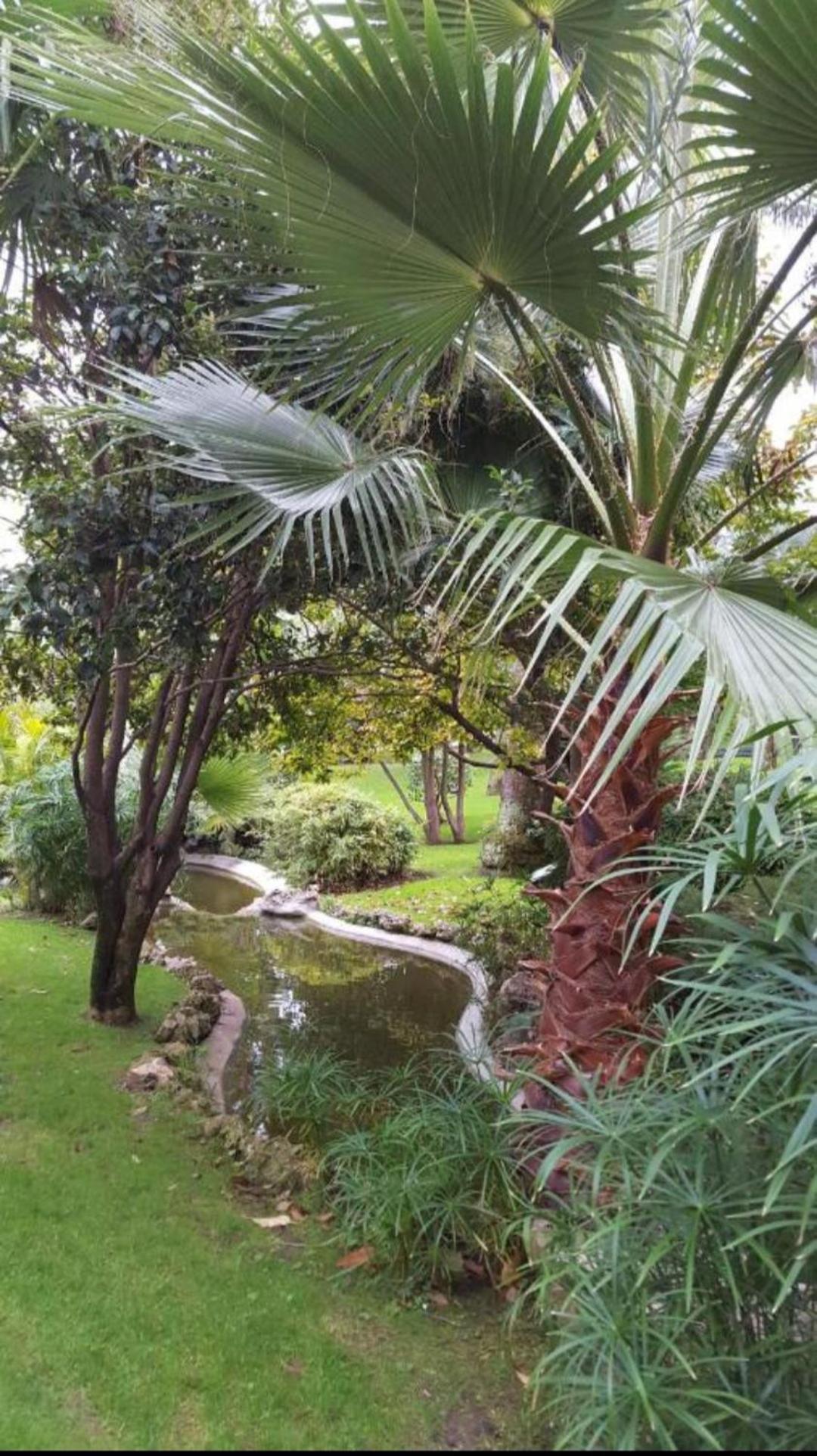 Direct Monaco Studio Devant Piscine Beausoleil Phòng bức ảnh